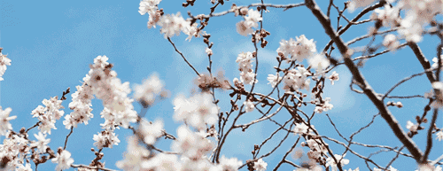早春印花單品穿搭，這樣搭才能穿出萬種風(fēng)情！