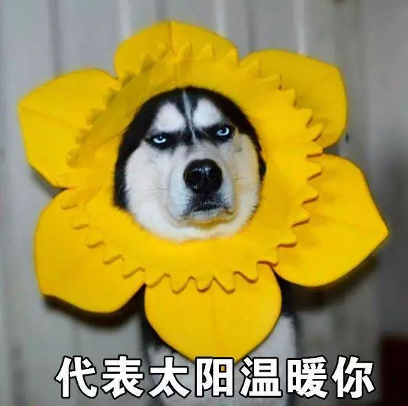 把春天畫在手上，百搭款式承包你的春季美甲